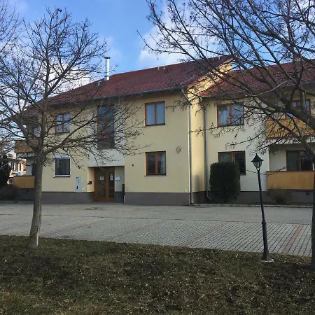Orchidea Hegykő