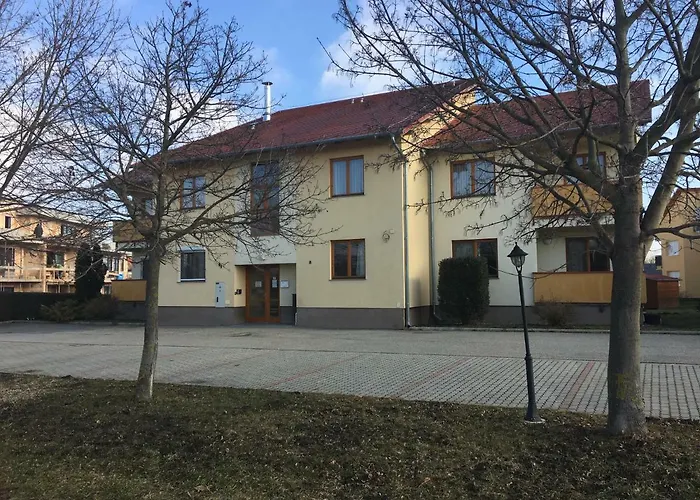 Orchidea Hegykő